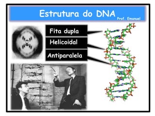 Estrutura do DNA
Fita dupla

Helicoidal
Antiparalela

Prof. Emanuel

 