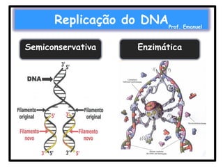 Replicação do DNA
Semiconservativa

Prof. Emanuel

Enzimática

 