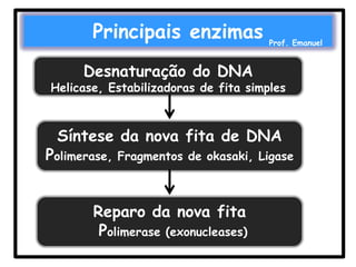 Principais enzimas

Prof. Emanuel

Desnaturação do DNA

Helicase, Estabilizadoras de fita simples

Síntese da nova fita de DNA

Polimerase,

Fragmentos de okasaki, Ligase

Reparo da nova fita
Polimerase (exonucleases)

 
