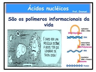 Ácidos nucléicos

Prof. Emanuel

São os polímeros informacionais da
vida

 