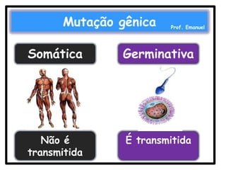 Mutação gênica

Prof. Emanuel

Somática

Germinativa

Não é
transmitida

É transmitida

 