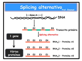 Splicing alternativo

Prof. Emanuel

Gene A

E1

DNA

E2

E3

E4

Splicing alternativo

1 gene
E1

E2

E3

E4

E3

Várias
proteínas

Transcrito primário

E1

E4

E2

E4

E2

E3

E1

RNAm1 – Proteína A1
RNAm2 – Proteína A2
RNAm3 – Proteína A3

 