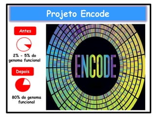 Projeto Encode
Antes

2% - 5% do
genoma funcional

Depois

80% do genoma
funcional

 