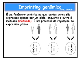 Imprinting genômico

Prof. Emanuel

É um fenômeno genético no qual certos genes são
expressos apenas por um alelo, enquanto o outro é
metilado (inativado). É um processo de regulação da
expressão gênica

 
