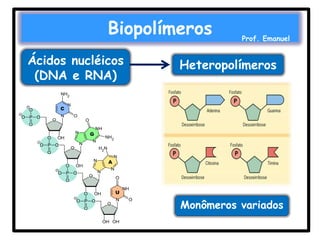 Biopolímeros
Ácidos nucléicos
(DNA e RNA)

Prof. Emanuel

Heteropolímeros

Monômeros variados

 