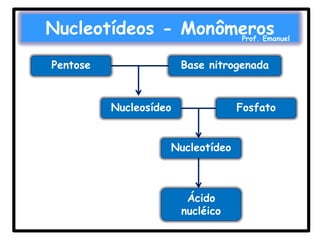 Nucleotídeos - Monômeros

Prof. Emanuel

Pentose

Base nitrogenada

Nucleosídeo

Fosfato

Nucleotídeo

Ácido
nucléico

 