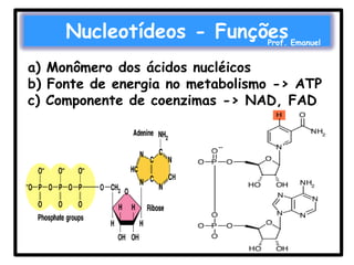 Nucleotídeos - Funções

Prof. Emanuel

a) Monômero dos ácidos nucléicos
b) Fonte de energia no metabolismo -> ATP
c) Componente de coenzimas -> NAD, FAD

 