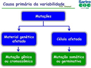 Causa primária da variabilidadeEmanuel
Prof.
Mutações

Material genético
afetado

Célula afetada

Mutação gênica
ou cromossômica

Mutação somática
ou germinativa

 
