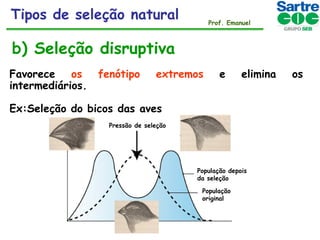 Tipos de seleção natural

Prof. Emanuel

b) Seleção disruptiva
Favorece
os
intermediários.

fenótipo

extremos

e

elimina

Ex:Seleção do bicos das aves
Pressão de seleção

População depois
da seleção
População
original

os

 