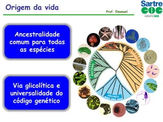 Origem da vida
Ancestralidade
comum para todas
as espécies

Via glicolítica e
universalidade do
código genético

Prof. Emanuel

 