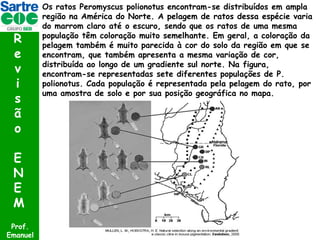 R
e
v
i
s
ã
o
E
N
E
M
Prof.
Emanuel

Os ratos Peromyscus polionotus encontram-se distribuídos em ampla
região na América do Norte. A pelagem de ratos dessa espécie varia
do marrom claro até o escuro, sendo que os ratos de uma mesma
população têm coloração muito semelhante. Em geral, a coloração da
pelagem também é muito parecida à cor do solo da região em que se
encontram, que também apresenta a mesma variação de cor,
distribuída ao longo de um gradiente sul norte. Na figura,
encontram-se representadas sete diferentes populações de P.
polionotus. Cada população é representada pela pelagem do rato, por
uma amostra de solo e por sua posição geográfica no mapa.

 
