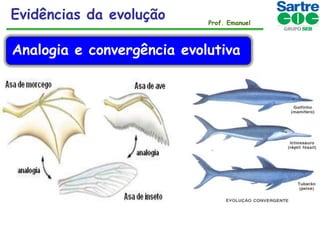 Evidências da evolução

Prof. Emanuel

Analogia e convergência evolutiva

 