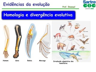 Evidências da evolução

Prof. Emanuel

Homologia e divergência evolutiva

Homem

Gato

Baleia

Morcego

Irradiação adaptativa dos
mamíferos

 