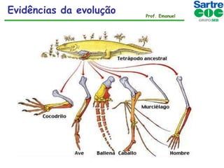Evidências da evolução

Prof. Emanuel

 