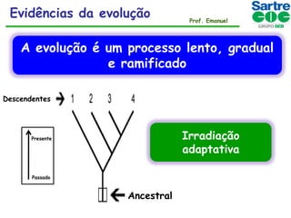 Evidências da evolução

Prof. Emanuel

A evolução é um processo lento, gradual
e ramificado
Descendentes

Irradiação
adaptativa

Presente

Passado

Ancestral

 