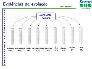 Evidências da evolução
P
e
r
c
e
n
t
a
g
e
m

Prof. Emanuel

Soro antihumano

d
e
A
g
l
u
t
i
n
a
ç
ã
o

Homem Chimpanzé Gorila Orangotango Babuíno
100%
85%
64%
42%
29%

Boi
10%

Cavalo
7%

Veado
2%

Ave
0%

 