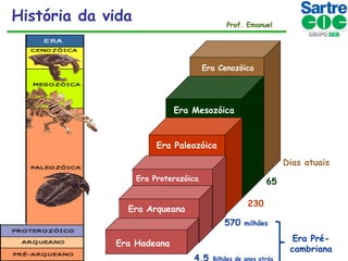 História da vida

Prof. Emanuel

Era Cenozóica

Era Mesozóica

Era Paleozóica
Dias atuais
Era Proterozóica

65
230

Era Arqueana

570

milhões

Era Précambriana

Era Hadeana
4,5

Bilhões de anos atrás

 