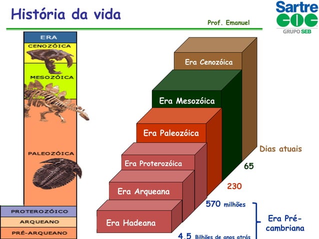 Revisão ENEM II- Origem da vida e evolução | PDF