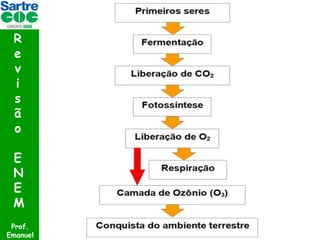 R
e
v
i
s
ã
o
E
N
E
M
Prof.
Emanuel

 