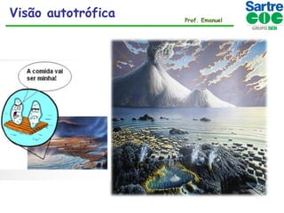 Visão autotrófica

Prof. Emanuel

 