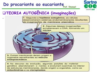 Do procarionte ao eucarionteProf. Emanuel
TEORIA AUTOGÊNICA (invaginações)
.

 