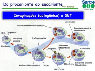 Do procarionte ao eucarionteProf. Emanuel
Invaginações (autogênica) e SET

 
