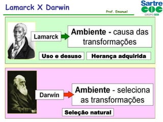 Lamarck X Darwin

Uso e desuso

Prof. Emanuel

Herança adquirida

Seleção natural

 