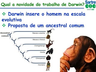 Qual a novidade do trabalho de Darwin?

 Darwin insere o homem na escala
evolutiva
 Proposta de um ancestral comum

 