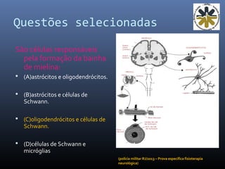 Questões selecionadas
São células responsáveis
pela formação da bainha
de mielina:
 (A)astrócitos e oligodendrócitos.
 (B)astrócitos e células de
Schwann.
 (C)oligodendrócitos e células de
Schwann.
 (D)células de Schwann e
micróglias
(polícia militar RJ/2013 – Prova específica fisioterapia
neurológica)
 