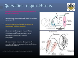 Questões específicas
Em relação ao comando neural da atividade muscular, é
INCORRETO afirmar que
 (A)os motoneurônios medulares estão situados no
corno ventral.
 (B)os motoneurônios mediais comandam os
movimentos finos dos membros.
(C)os motoneurônios gama inervam fibras
musculares modificadas que fazem parte
de receptores sensoriais - os fusos
musculares.
(D)os axônios dos motoneurônios, antes de
emergirem, fazem sinapse com interneurônios no
próprio corno ventral.
(polícia militar RJ/2013 – Prova específica fisioterapia neurológica)
 