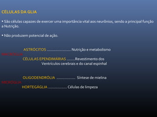 CÉLULAS DA GLIA
• São células capazes de exercer uma importância vital aos neurônios, sendo a principal função
a Nutrição.
• Não produzem potencial de ação.
ASTRÓCITOS ....................... Nutrição e metabolismo
MACRÓGLIA
CÉLULAS EPENDIMÁRIAS ........Revestimento dos
Ventrículos cerebrais e do canal espinhal
OLIGODENDRÓLIA .................. Síntese de mielina
MICRÓGLIA
HORTEGÁGLIA .................. Células de limpeza
 