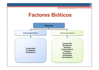 Factores Bióticos
                    Relações


Intra-específicas              Interespecíficas




                                 Cooperação
                                 Mutualismo
                                  Simbiose
  Cooperação
                                Comensalismo
  Competição
                                  Predação
  Canibalismo
                                 Parasitismo
                                 Competição
                                Amensalismo
 