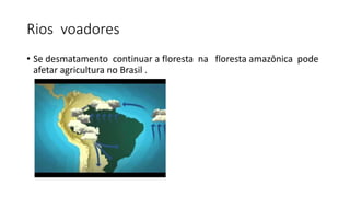 Rios voadores
• Se desmatamento continuar a floresta na floresta amazônica pode
afetar agricultura no Brasil .
 
