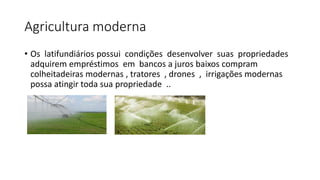 Agricultura moderna
• Os latifundiários possui condições desenvolver suas propriedades
adquirem empréstimos em bancos a ju...