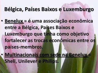 Noruega, Islândia e SuíçaApresentam elevados níveis de qualidade de vida (IDH alto), pertencem a Europa, mas não participam da União Europeia.