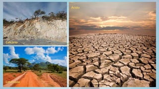 Calcário
Latossolo
Árido
 