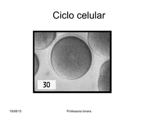 Ciclo celular
19/08/15 Professora Ionara
 