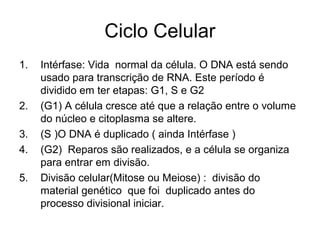 Ciclo Celular
1. Intérfase: Vida normal da célula. O DNA está sendo
usado para transcrição de RNA. Este período é
dividido em ter etapas: G1, S e G2
2. (G1) A célula cresce até que a relação entre o volume
do núcleo e citoplasma se altere.
3. (S )O DNA é duplicado ( ainda Intérfase )
4. (G2) Reparos são realizados, e a célula se organiza
para entrar em divisão.
5. Divisão celular(Mitose ou Meiose) : divisão do
material genético que foi duplicado antes do
processo divisional iniciar.
 