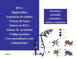 19/08/15 Professora Ionara
DNA:
Dupla hélice
Sequência de códons
Trincas de bases
Síntese de RNA
Síntese de proteínas
Código genético
Correspondência com
Aminoácidos. • T • A
• G• C
Proteínas:
Atividade
enzimática,
defesa e estrutura
 