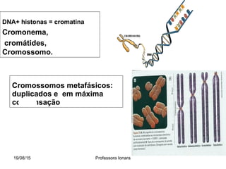 Cromossomos metafásicos:
duplicados e em máxima
condensação
19/08/15 Professora Ionara
DNA+ histonas = cromatina
Cromonema,
cromátides,
Cromossomo.
 