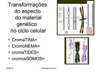 19/08/15 Professora Ionara
Transformações
do aspecto
do material
genético
no ciclo celular
• CromaTINA=
• CromoNEMA=
• cromaTIDES=
• cromosSOMOS=
 