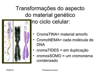 19/08/15 Professora Ionara
Transformações do aspecto
do material genético
no ciclo celular:
• CromaTINA= material amorfo
• CromoNEMA= cada molécula de
DNA
• cromaTIDES = em duplicação
• cromosSOMO = um cromonema
condensado
 