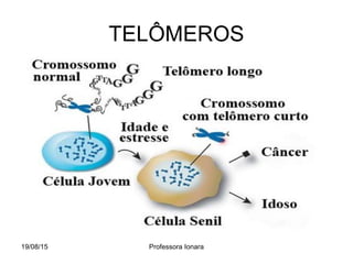TELÔMEROS
19/08/15 Professora Ionara
 