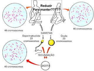 19/08/15 Professora Ionara
Reduzir
Para manter?????
 
