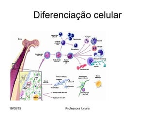 Diferenciação celular
19/08/15 Professora Ionara
 