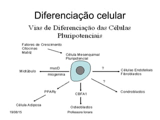 Diferenciação celular
19/08/15 Professora Ionara
 