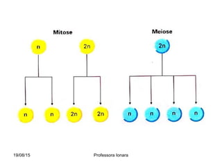 19/08/15 Professora Ionara
 
