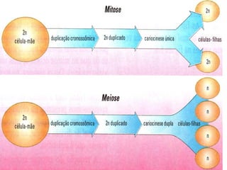 19/08/15 Professora Ionara
 