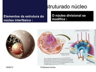 Alterações da estruturado núcleo
Elementos da estrutura do
núcleo interfásico :
O núcleo divisional se
modifica :
19/08/15 Professora Ionara
 