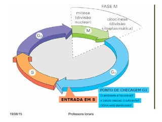 19/08/15 Professora Ionara
 